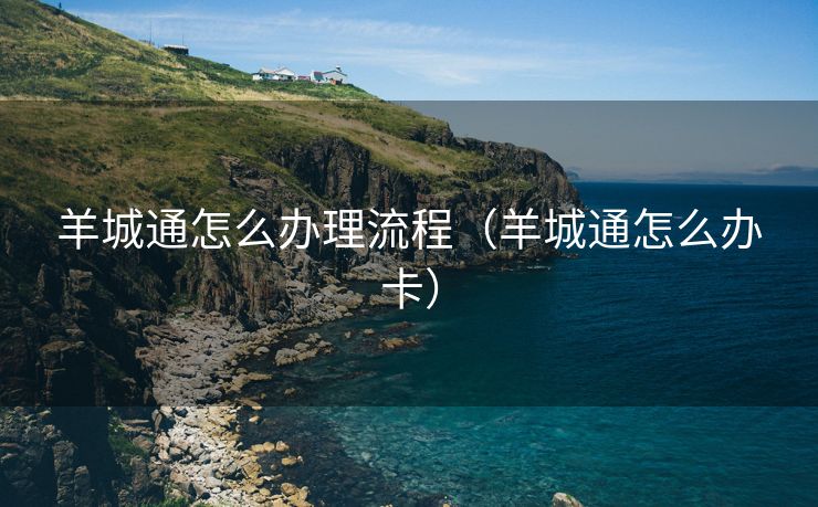 羊城通怎么办理流程(羊城通怎么办卡) 羊城通怎么办理流程(羊城通怎么办卡)