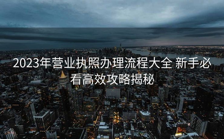 2023年营业执照办理流程大全 新手必看高效攻略揭秘