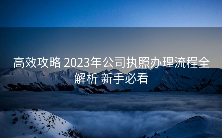 高效攻略 2023年公司执照办理流程全解析 新手必看 高效攻略 2023年公司执照办理流程全解析 新手必看