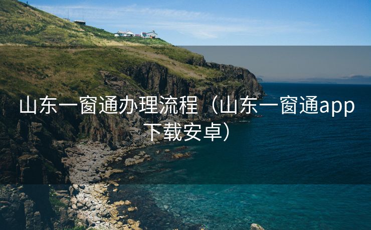 山东一窗通办理流程（山东一窗通app下载安卓）