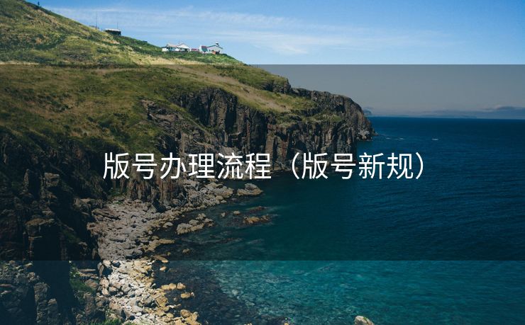 版号办理流程(版号新规) 版号办理流程(版号新规)