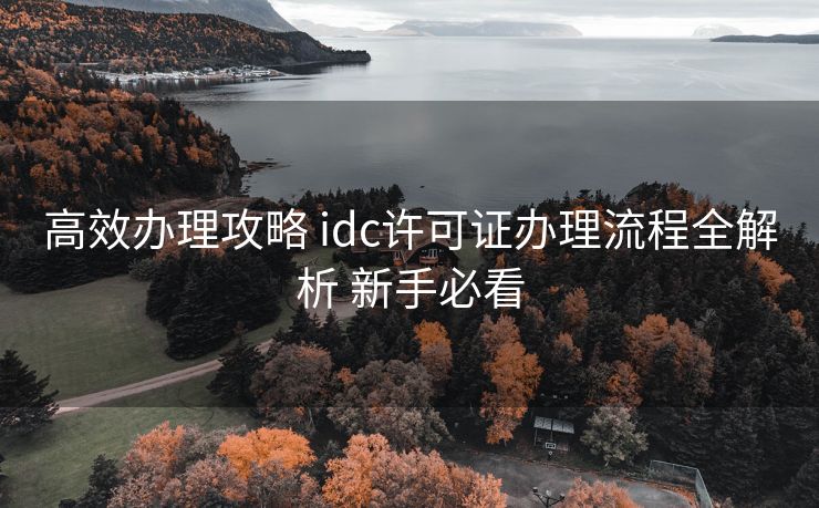 高效办理攻略 idc许可证办理流程全解析 新手必看