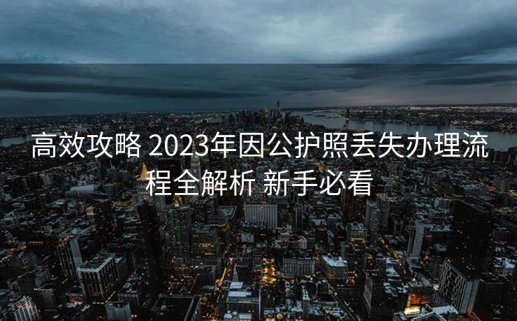 高效攻略 2023年因公护照丢失办理流程全解析 新手必看
