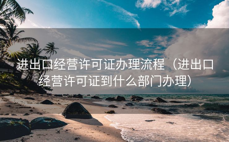 进出口经营许可证办理流程（进出口经营许可证到什么部门办理）