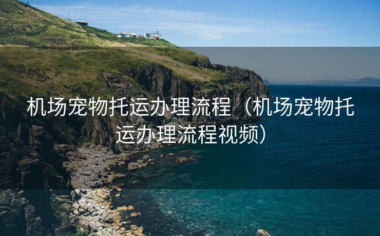 机场宠物托运办理流程（机场宠物托运办理流程视频）