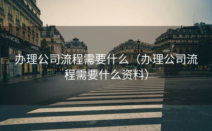 办理公司流程需要什么（办理公司流程需要什么资料）