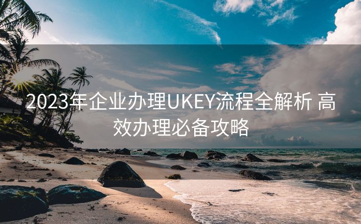 2023年企业办理UKEY流程全解析 高效办理必备攻略 2023年企业办理UKEY流程全解析 高效办理必备攻略